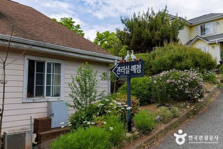제천_블루밍데이즈펜션 (6).jpg