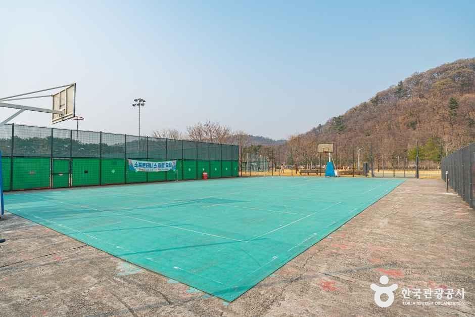수성패밀리파크