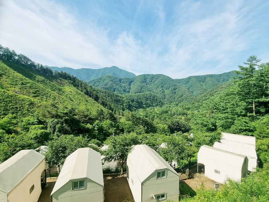가평명지산카라반글램핑