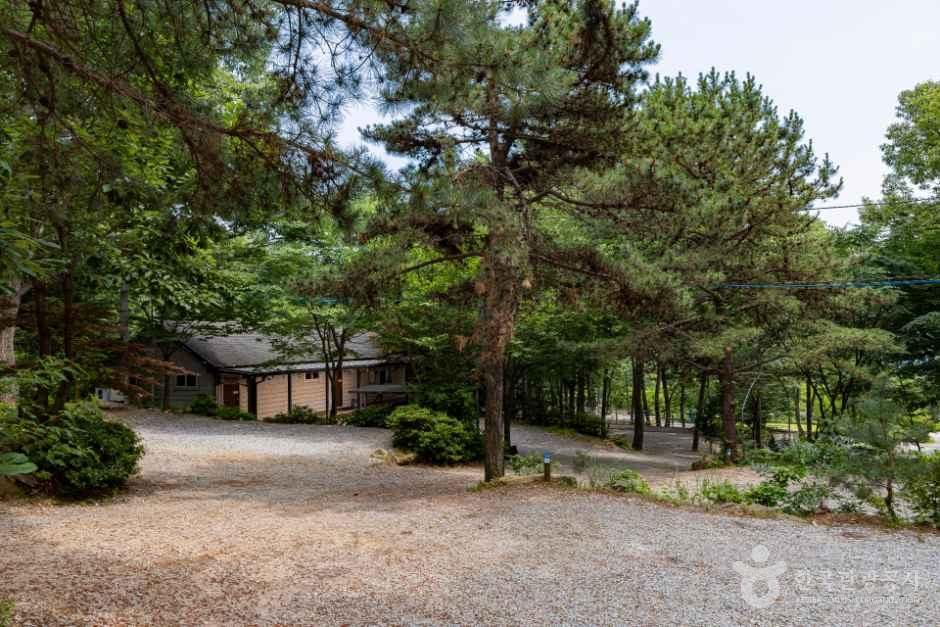 낭만에코파크 사진 14
