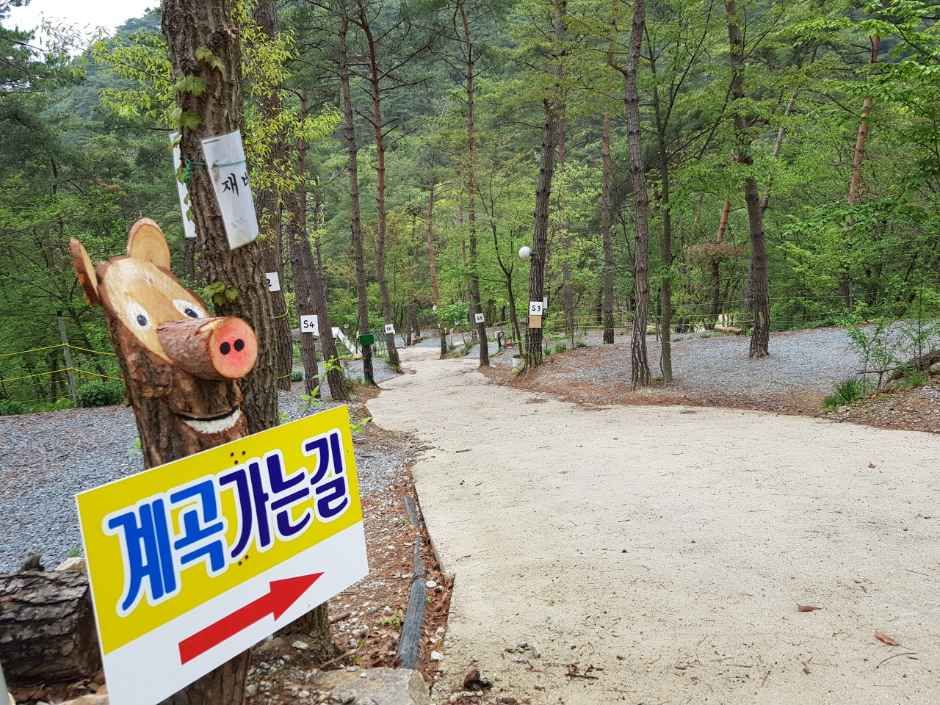 아리솔캠핑장