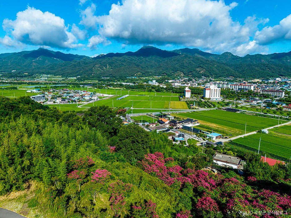 동악산(곡성)