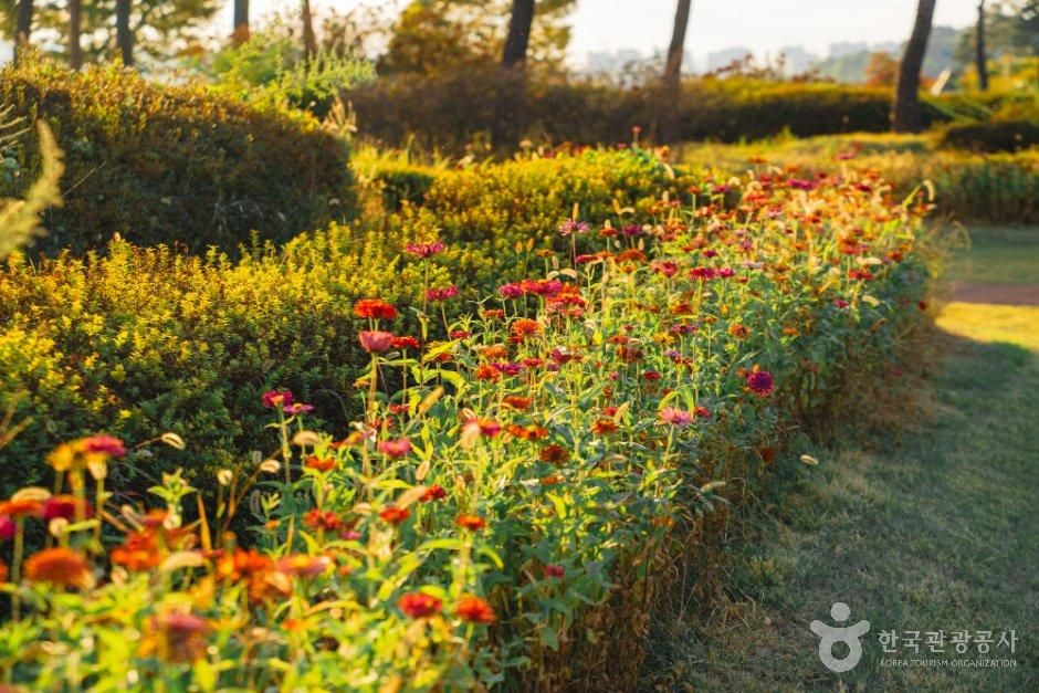가족과 함께 한강 물길 따라 걷는 남양주 나들이_경기_남양주_남양주 한강공원 삼패지구_8.jpg