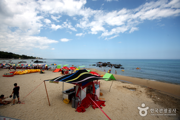 어달해변 어달해변