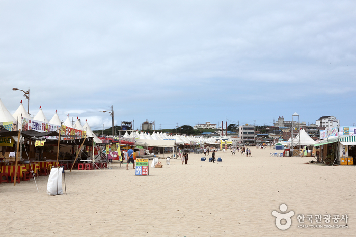 고래불해수욕장 고래불해수욕장