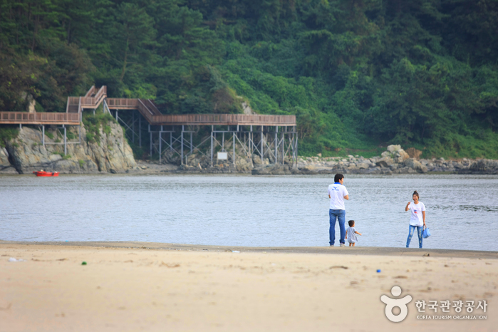 다대포해수욕장 다대포해수욕장
