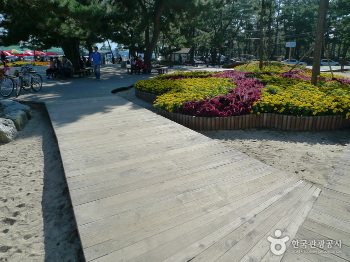 강릉 경포해변 강릉 경포해변