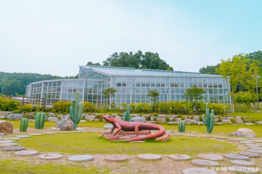 金泉親環境生態公園