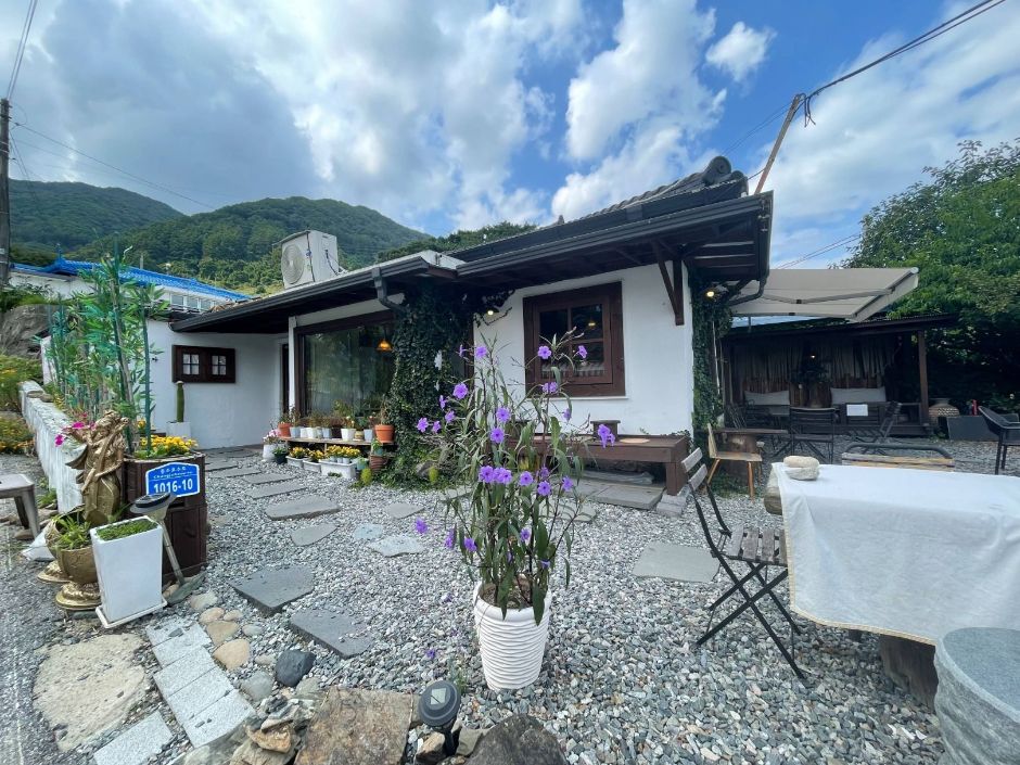 旧屋·飞翔