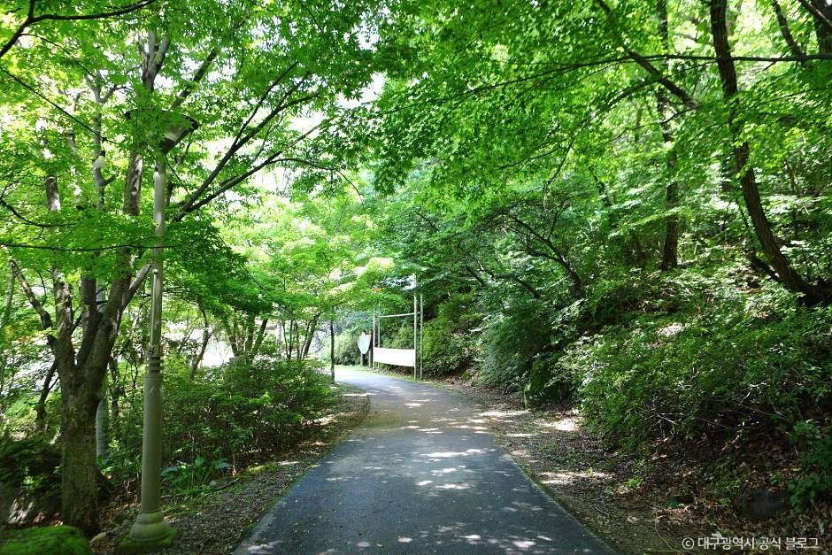 Biseulsan Recreational Forest