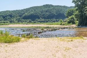 무섬 외나무다리