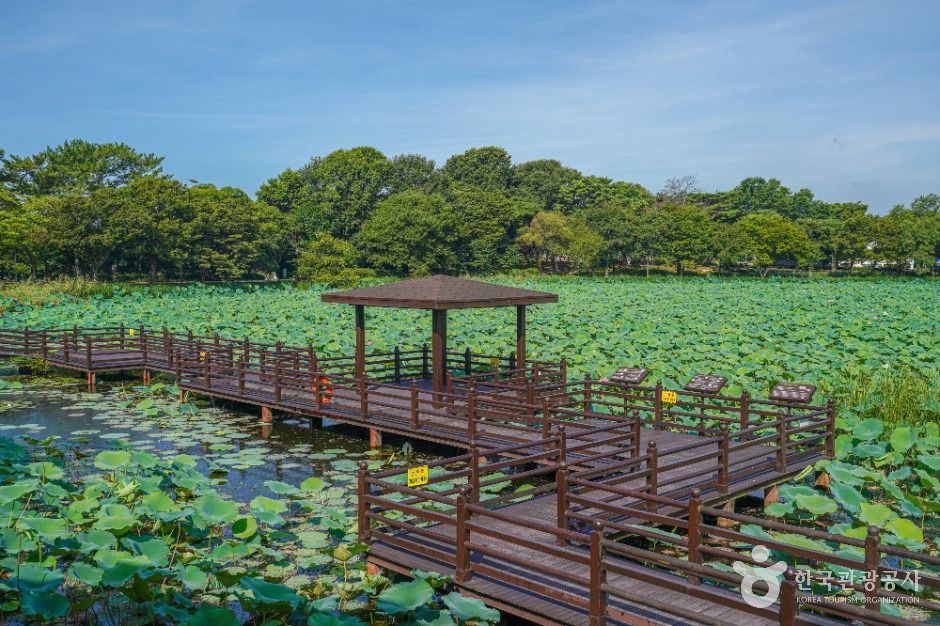 康州池
