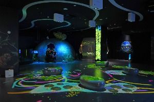 DMZセンセンヌリ（DMZ 생생누리）