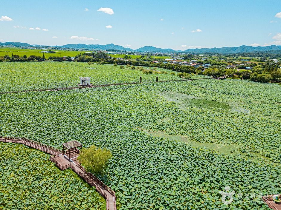 Muan Haneul White Lotus Village