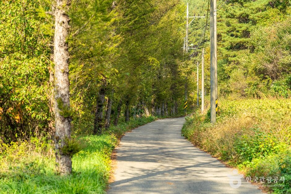 青玉山トッケビ道