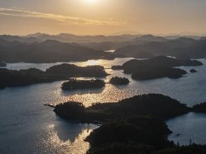 진지도