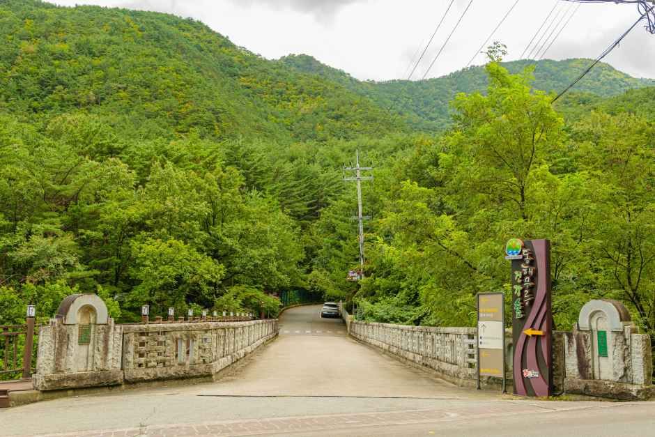 동해무릉건강숲