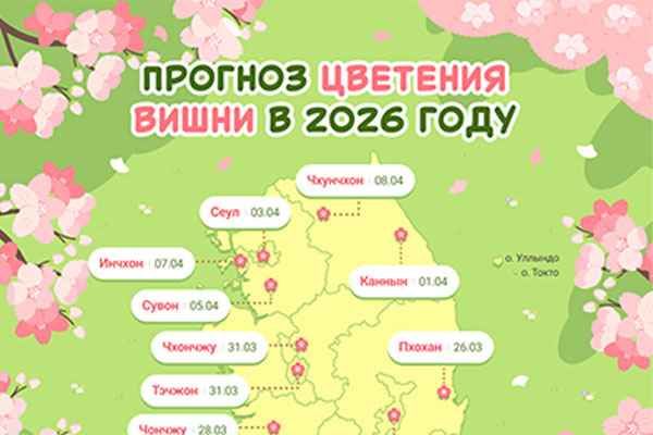 Прогноз цветения вишни в 2026 году