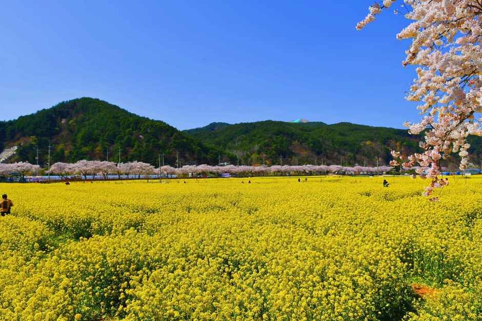 Samcheok Maengbang Yuchaekkot Village