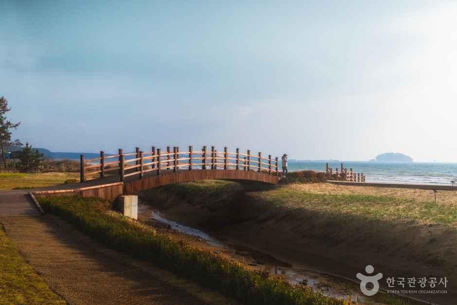 태안해양치유센터