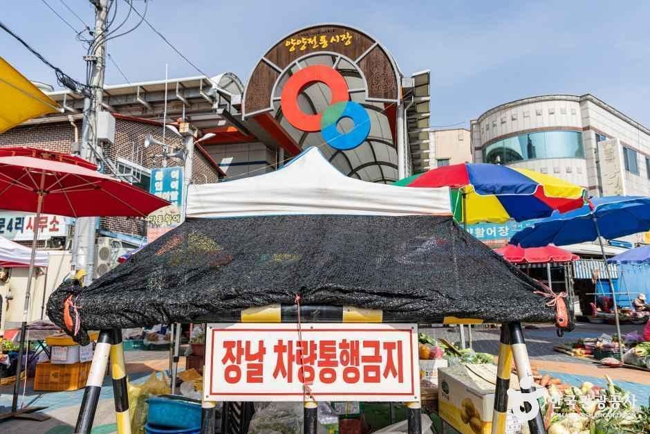 양양전통시장 (4, 9일)