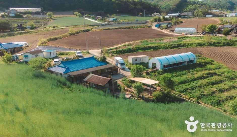 이가본때