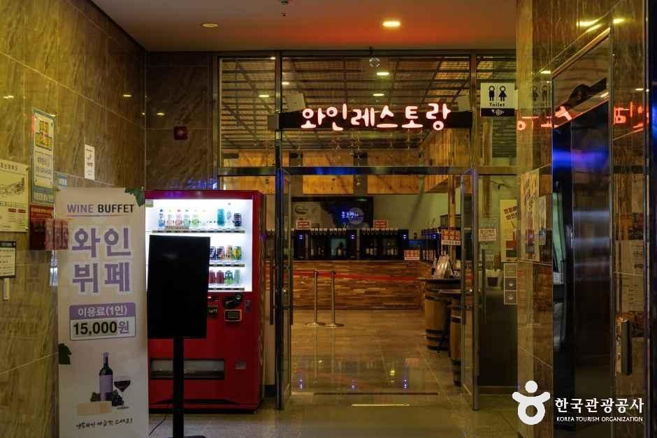영동_영동 와인터널 (9).jpg