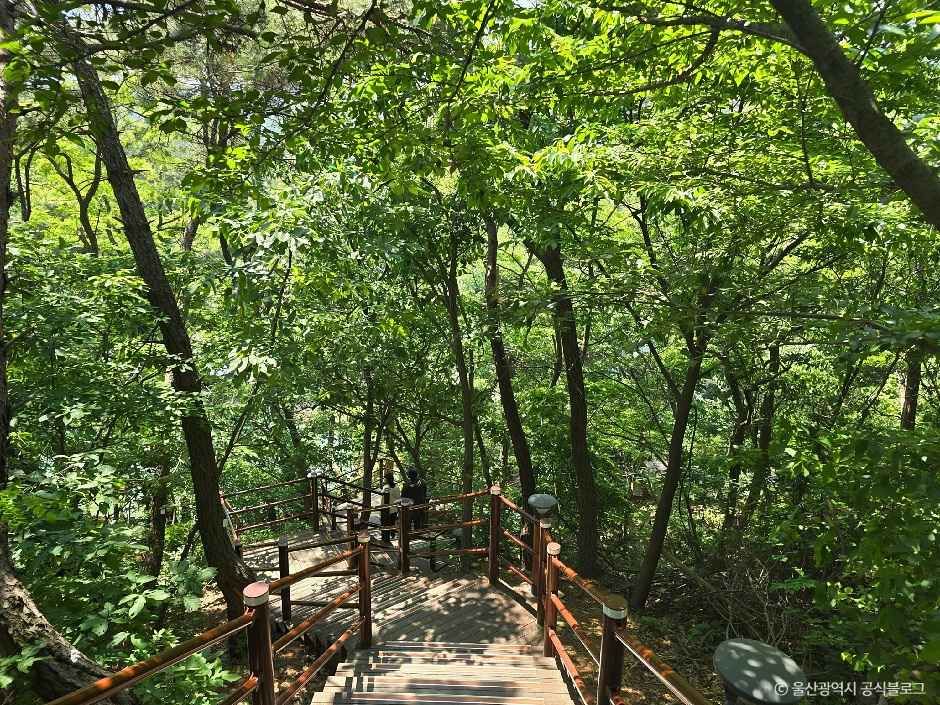 명덕호수공원