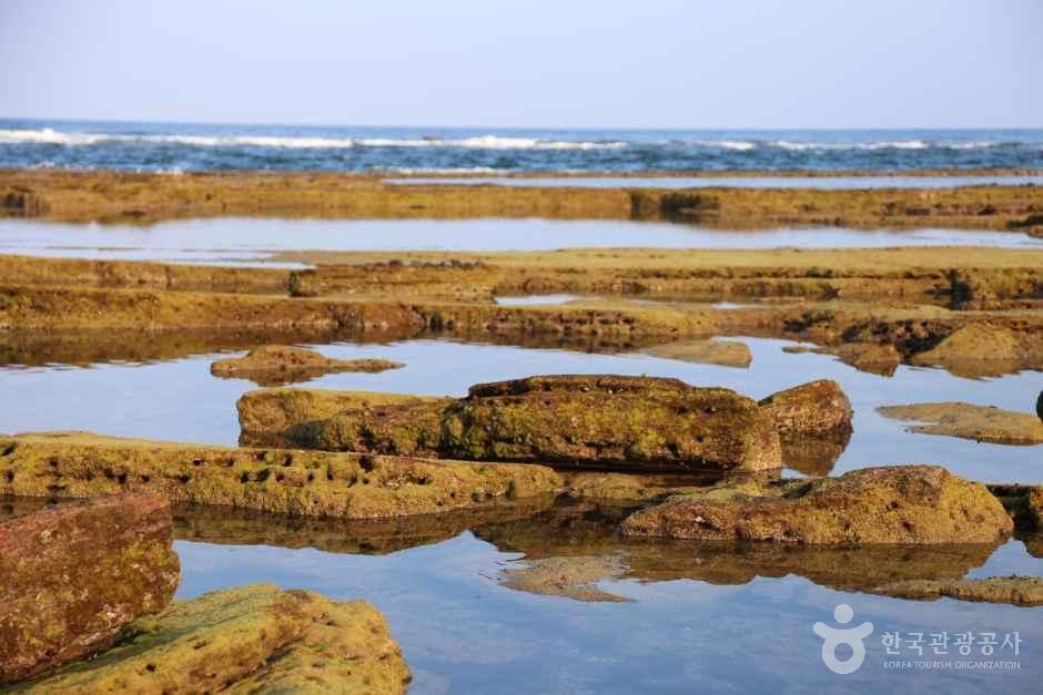 제주_광치기해변_3.JPG