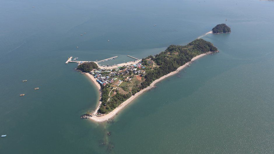 국화도