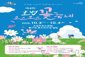 호법 코스모스 꽃축제