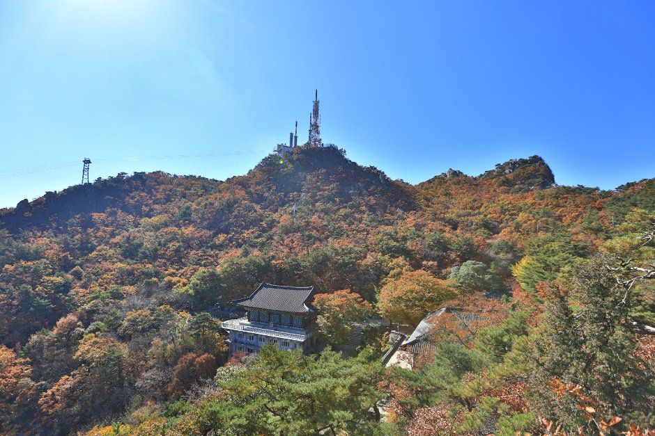 延珠庵