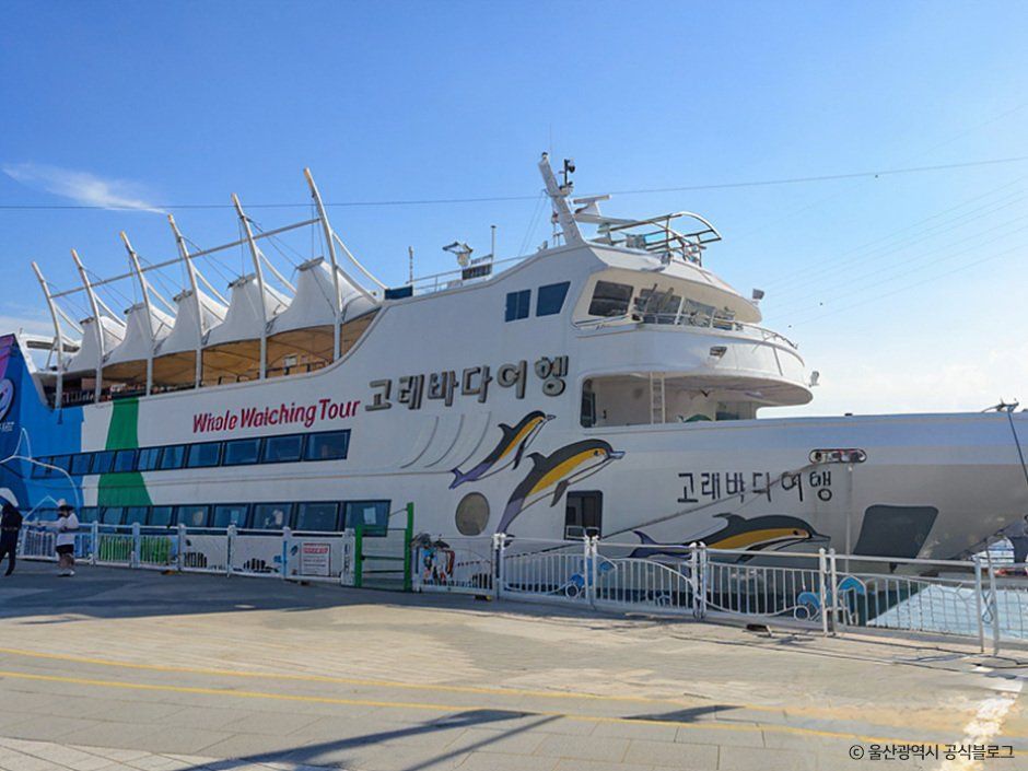 Jangsaengpo Whale Watching Cruise