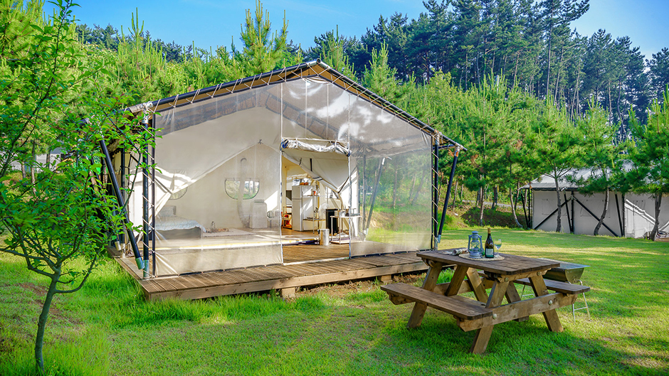 Seocheon Pine Tree Glamping