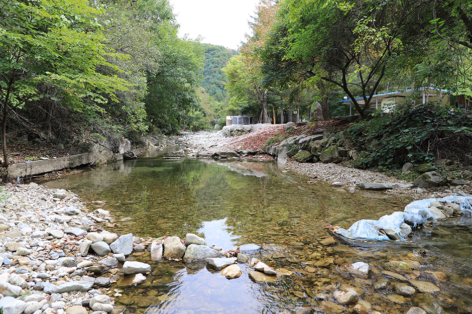 孔雀山渓谷オートキャンプ場