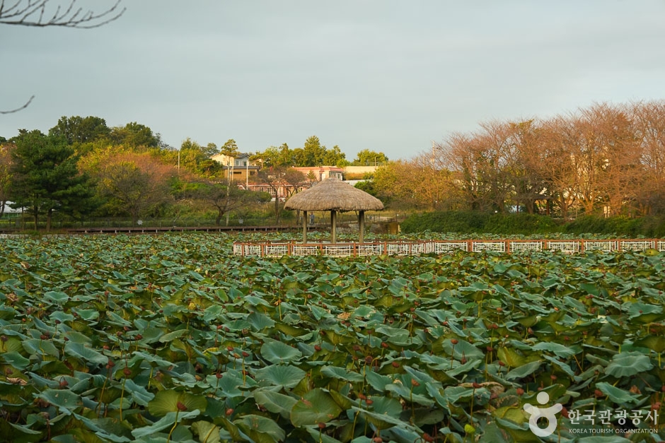 Goljeong Reservoir