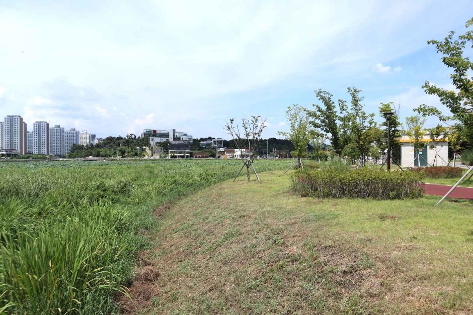 カムモッ池（敷地）