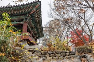 망원정 터