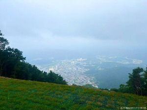 영월 패러글라이딩