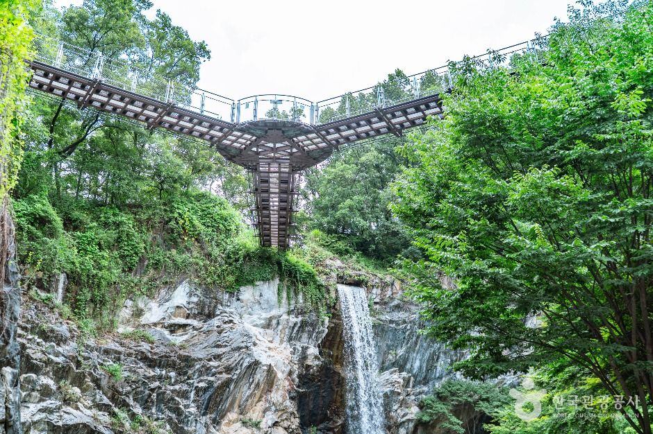 道德山吊桥