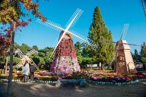 2025 유성국화축제 7