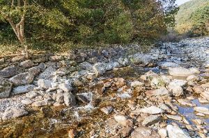 3563403 image3 1 예스키즈존 탐험대 : 실패 없는 육아여행