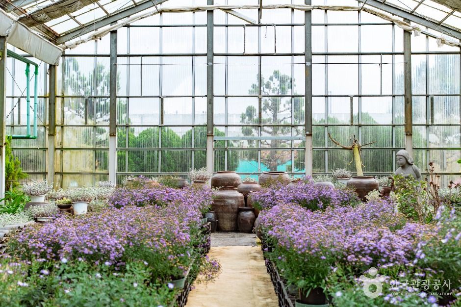 世界花卉植物园