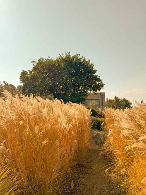 제주_숨도 (4).JPG