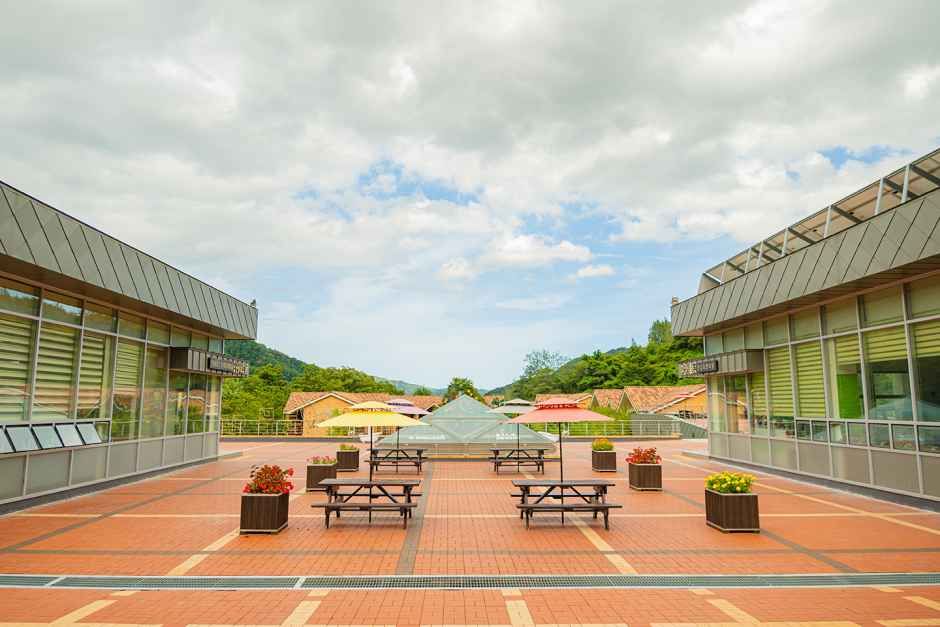 동해무릉건강숲