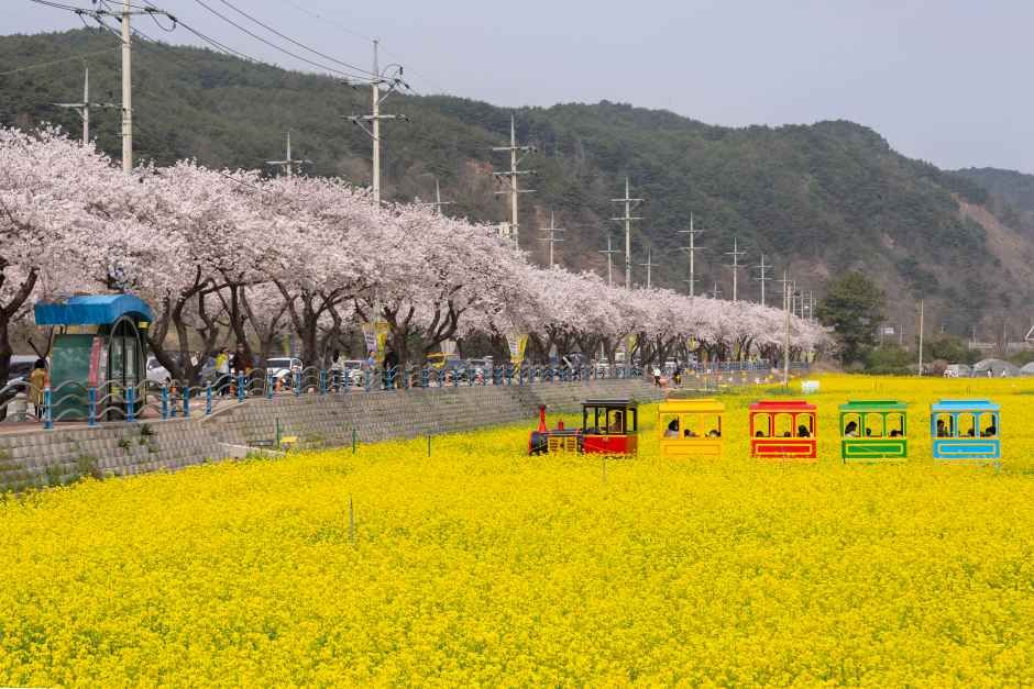 Samcheok Maengbang Yuchaekkot Village