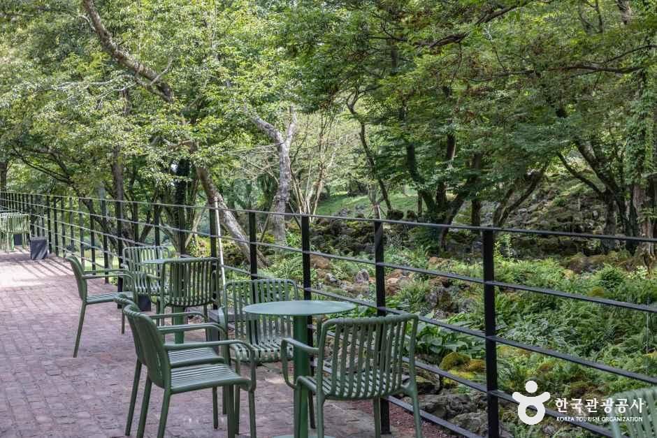 제주_이끼숲소길 (5).jpg