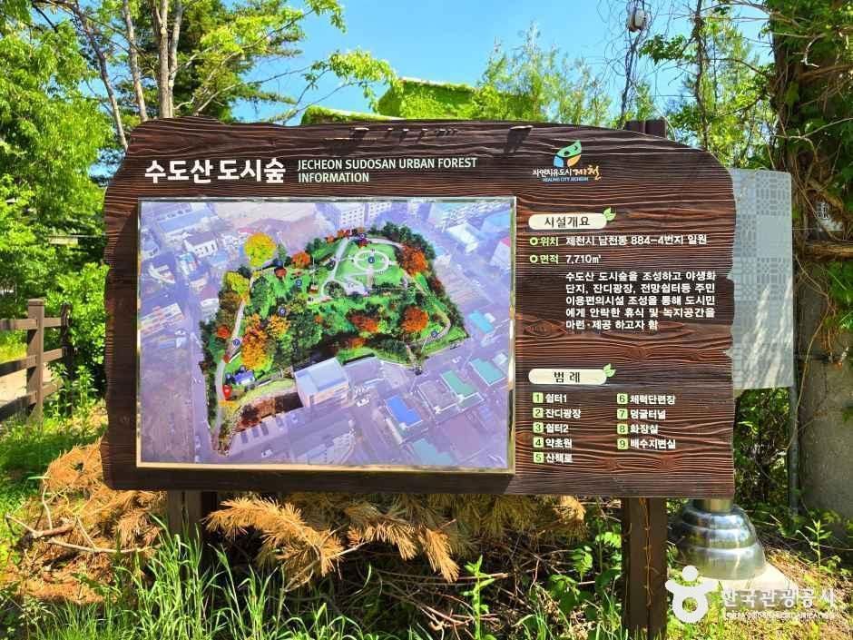 水道山都市の森