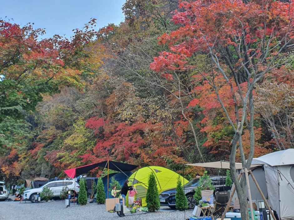 산정호수돌고래캠핑장