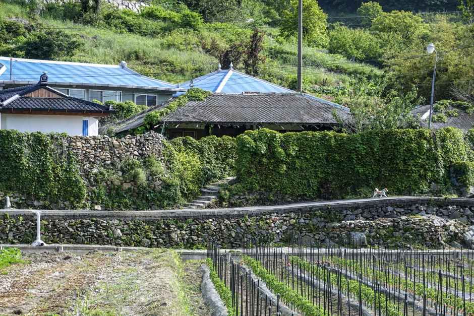 [남해바래길 9코스] 구운몽길